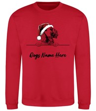 POODLE Personalised Christmas