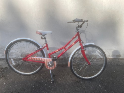 Bicycle ladies virtually - -,