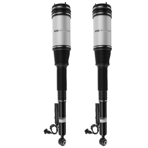Rear air suspension struts - rear,