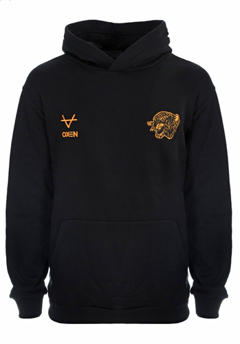 Hull city premier league - hull,