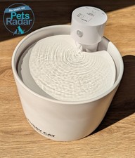 Fussy Cat Water Fountain