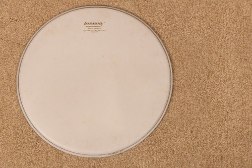 Vintage ludwig db 750 - 16", db-750