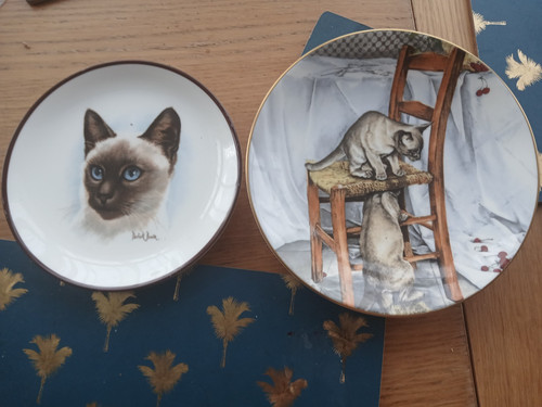 Coalport cat plates pair cats - cat,