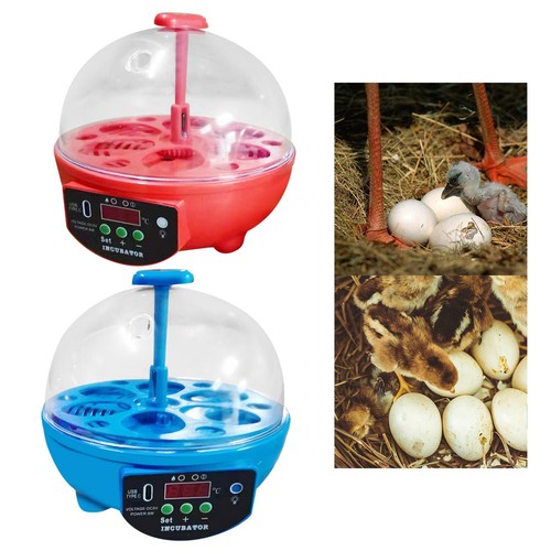 Eggs incubator automatic egg - 6,