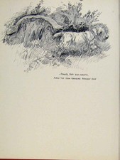 Original Old Vintage Print Sketch Drawing Pencil Art Pet Animal C1938 20th