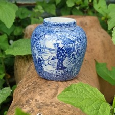 Blue & White Oriental Ginger