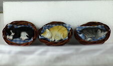 6.7cm KITTEN in BASKET - SET