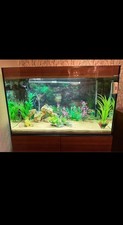 Aquael Glossy fish tank 215