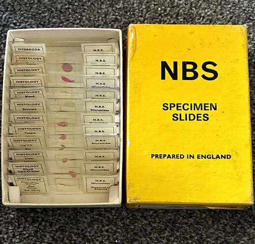 Vintage microscope slides - , nbs