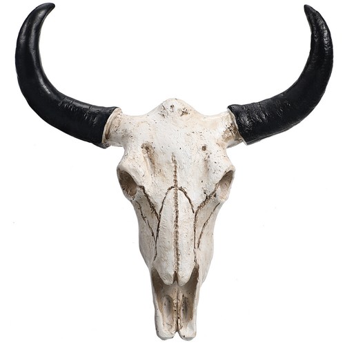 Skull with horns - horns, decor