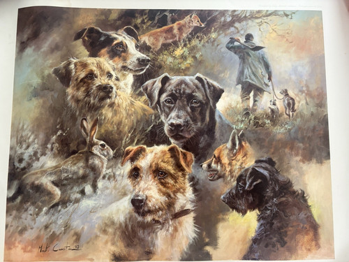 Mick cawston signed limited - cawston,