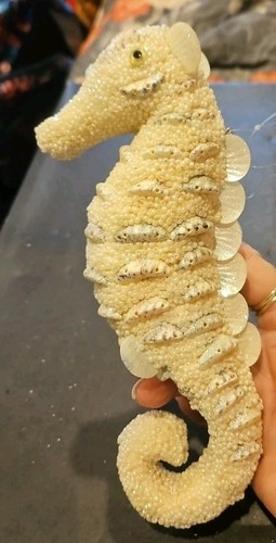Beaded shell seahorse - &,