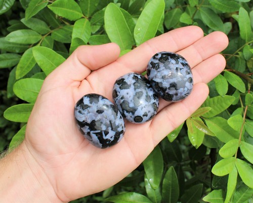 Indigo gabbro palm stone - palm, 'a'