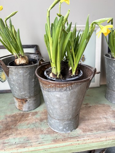 Vintage galvanised small - vintage,