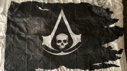 Assassins creed black flag - assassins,
