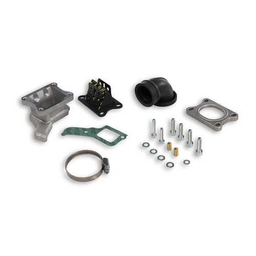 Reed valve intake malossi - reed,