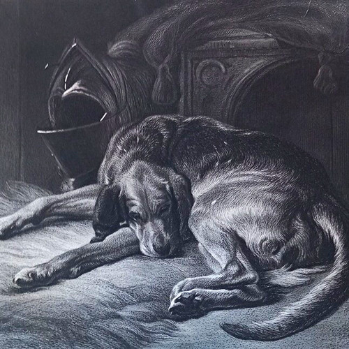 Sir landseer sleeping - landseer, “sleeping