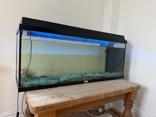 Juwel 120l aquarium with - juwel,