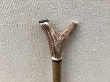 Red deer antler walking hazel - walking,