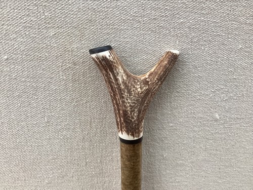 Red deer antler - antler, walking