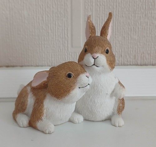 Shudehill small brown white - brown,