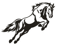 XXL 36" 3 FOOT horse horsebox