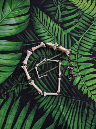 Articulated fox tail bones - fox,
