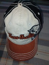 vintage Rare , team arctic hat