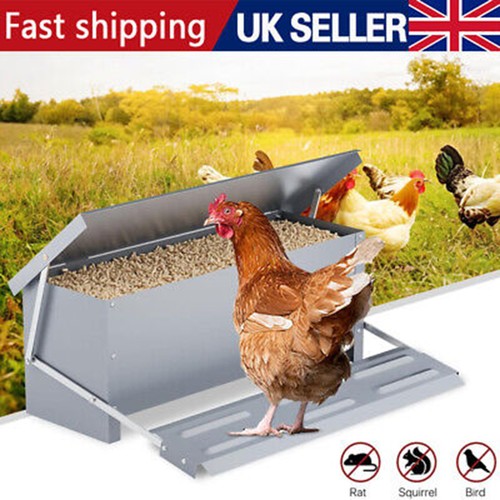 Auto chicken treadle feeder - auto,