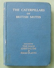 THE CATERPILLARS OF BRITISH