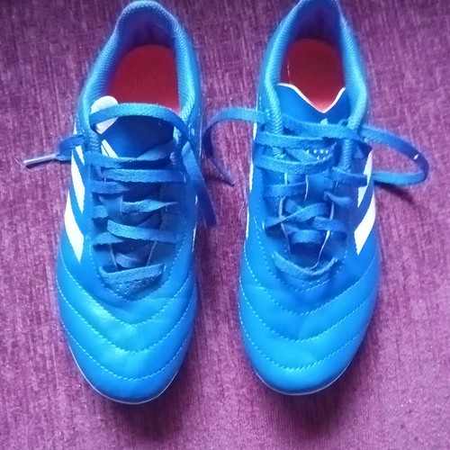 Kids adidas predator league - predator,