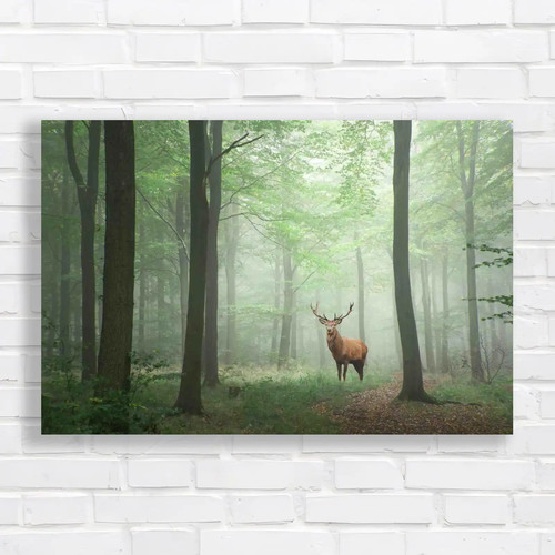 Majestic deer stag - deer,