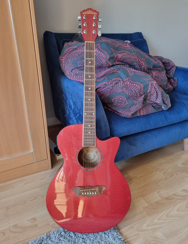 Washburn ea16mc series - washburn,