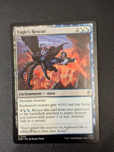 Eagle rescue the hobbit - eagle's,