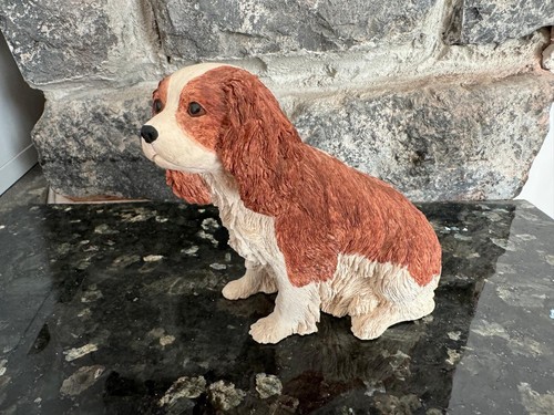 White and tan king charles - and,