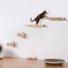 Wall Mounted Cat Shelves with