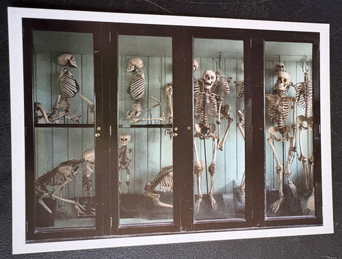 Art postcard norman show - art,