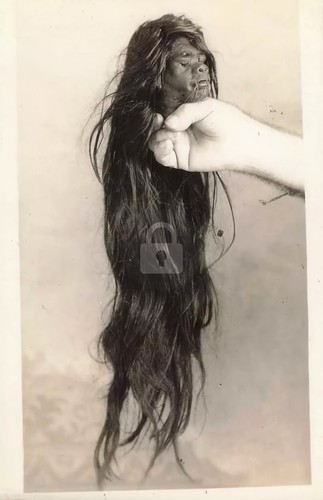1930s odd shrunken - odd, head