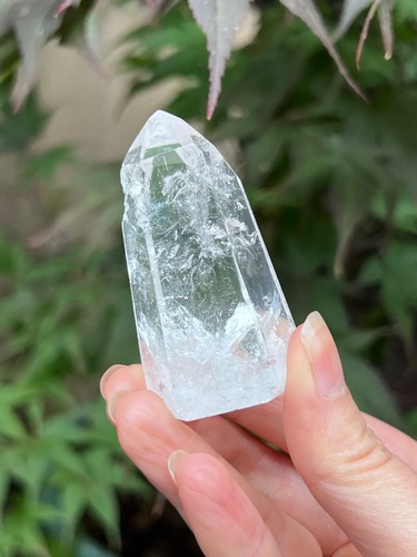 Large lemurian seed very - lemurian,