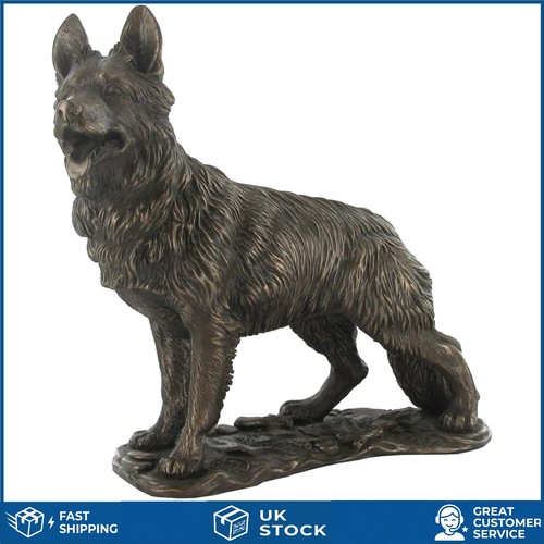 Stunning german shepherd - stunning,