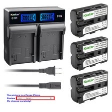 Kastar Battery LCD Rapid