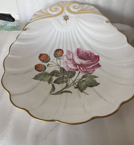 Spode scalloped shell - scalloped,