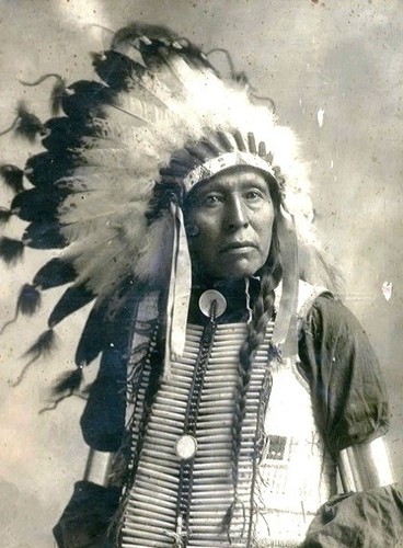 Chief flying hawk photo - hawk,