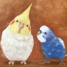 KaoruArtGallery, Budgie