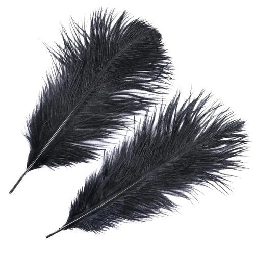 10pcs large ostrich feathers - large,