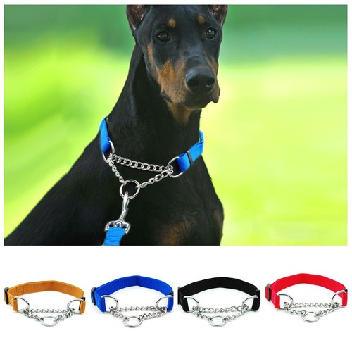 Strong training dog collar - 1x,