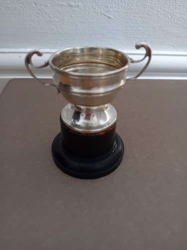 Silver trophy cup - trophy,