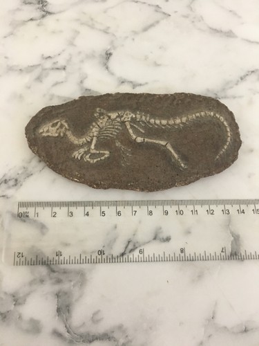 Dinosaur fossil replica