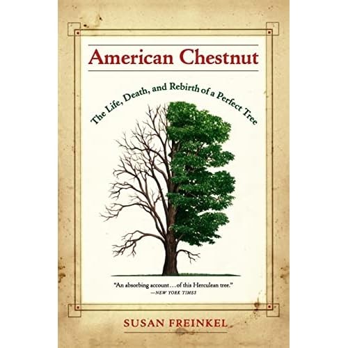 American chestnut the life - the,