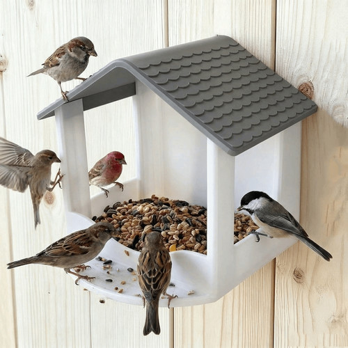 Wall hanging bird feeder - bird,
